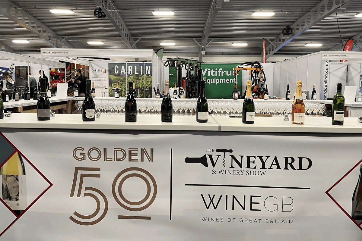 Goldern 50