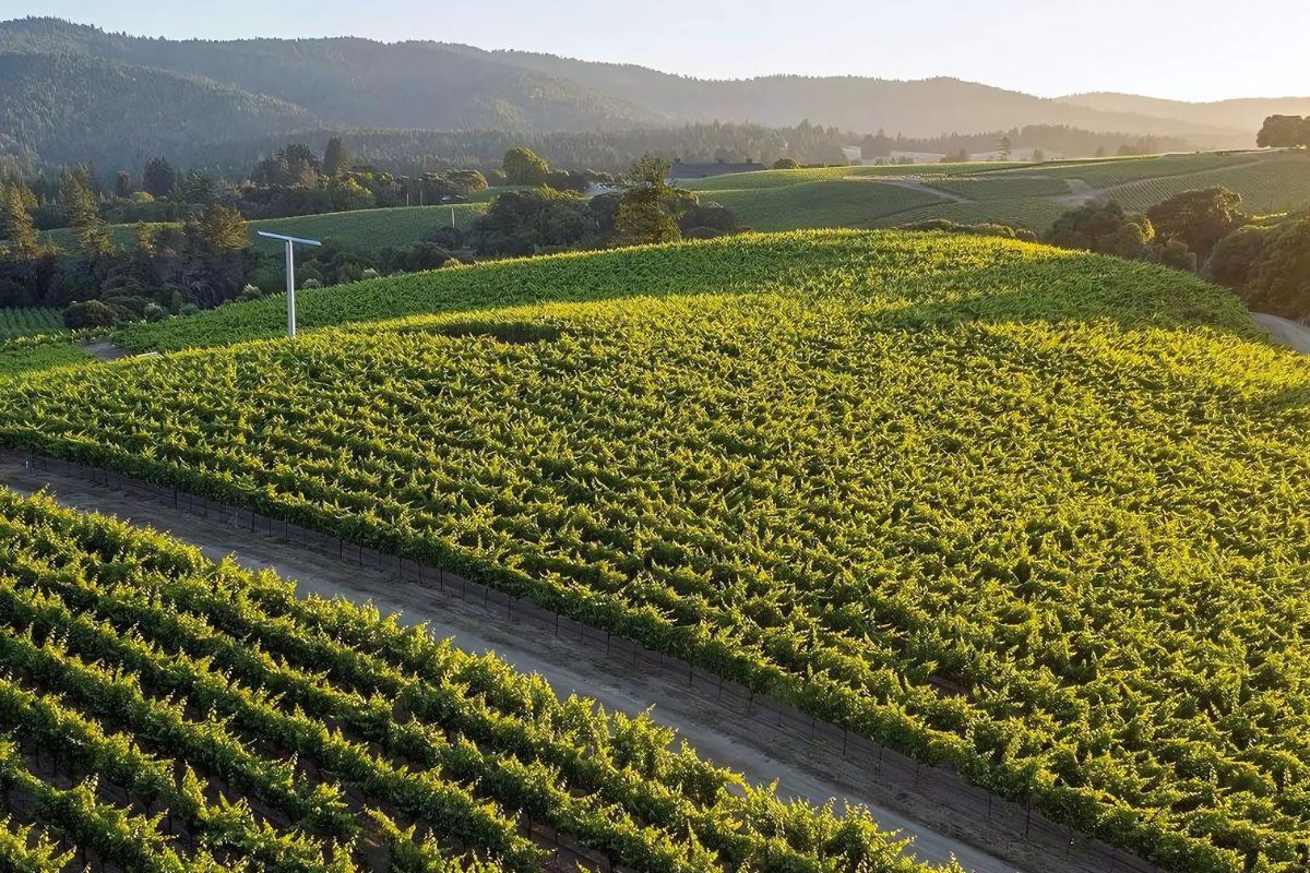 Anderson Valley