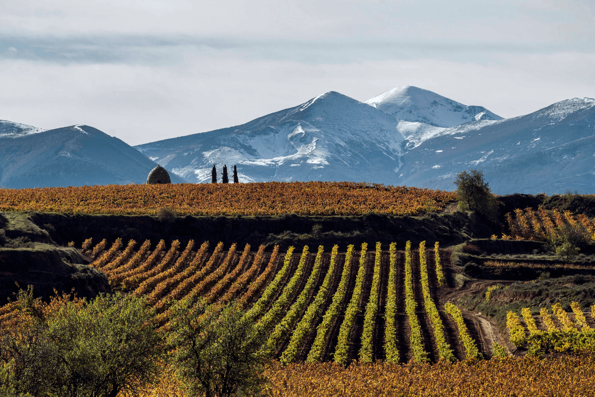 Badaran, San Lorenzo in Rioja Alta